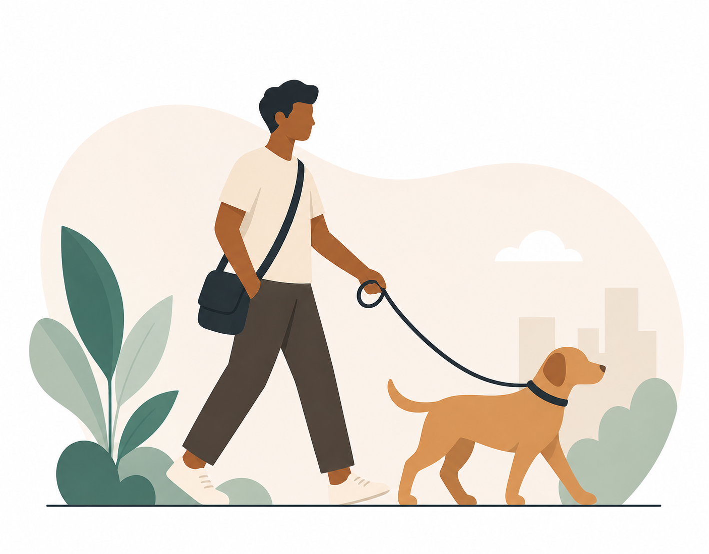 Z8N pet walker service